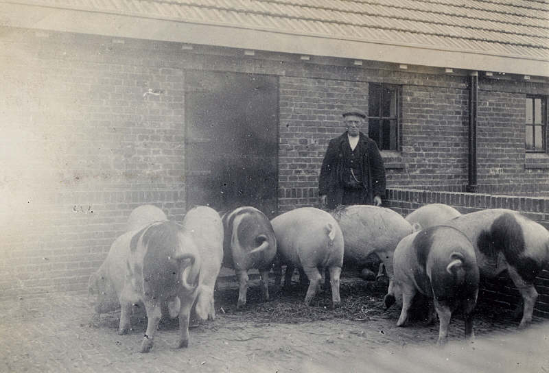 boerderij 5
