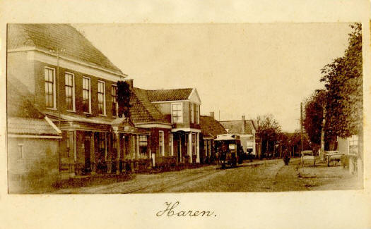 haren paardetram_525
