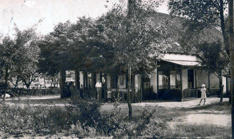 heidebloempje